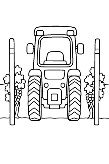 Tractor visto desde atrás entre dos filas de viñas con racimos de uvas