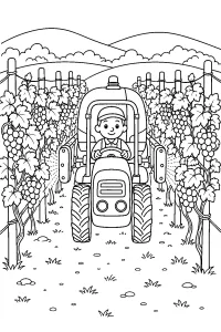 Trattore nel vigneto disegno da colorare PDF gratis