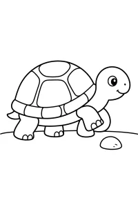 Tortue avec carapace à colorier dessin à colorier PDF gratuit