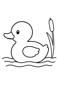 Anatra che nuota tra le onde disegno da colorare PDF gratis
