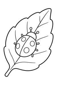 Coccinella con macchie su una foglia disegno da colorare PDF gratis