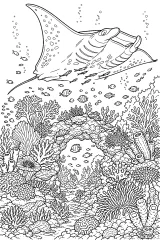 Manta gigante sulla barriera corallina disegno da colorare PDF gratis