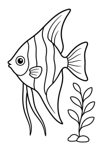 Angelfish with an aquatic plant coloring page free PDF