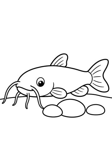 Coloring page of a catfish with long whiskers above three pebbles
