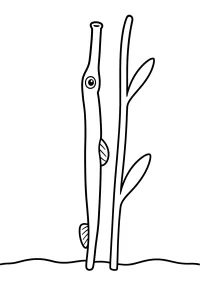Pesce trombetta verticale accanto a uno stelo disegno da colorare PDF gratis