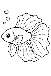 Pesce betta dalle pinne fluenti da colorare disegno da colorare PDF gratis