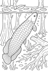 Arapaima nella foresta allagata disegno da colorare PDF gratis