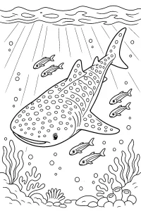 Squalo balena con pesci pilota disegno da colorare PDF gratis