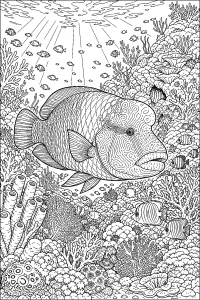 Pesce napoleone nella barriera corallina disegno da colorare PDF gratis