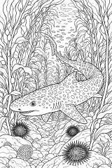 Squalo leopardo nella foresta di kelp disegno da colorare PDF gratis