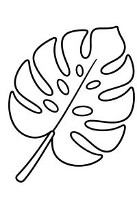 Foglia di monstera da colorare disegno da colorare PDF gratis
