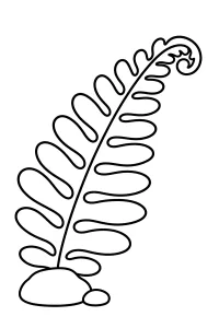 Farnwedel mit Steinen malvorlage kostenlos PDF