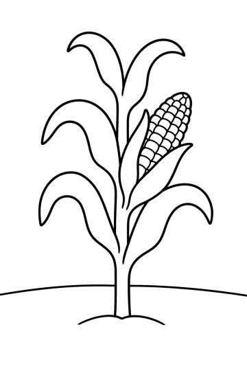 Dibujo para colorear de una planta de maíz con mazorca y hojas curvadas