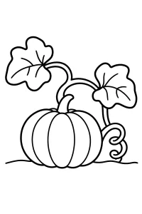 Abóbora na rama desenho para colorir PDF grátis
