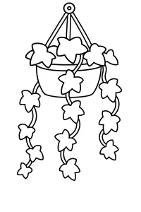 Edera pendente in vaso disegno da colorare PDF gratis