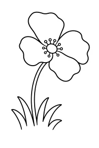Blume mit gewellten Blütenblättern malvorlage kostenlos PDF