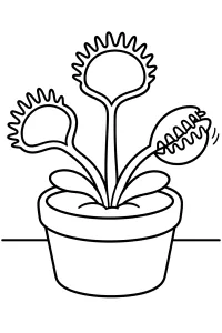 Venere acchiappamosche in vaso da colorare disegno da colorare PDF gratis