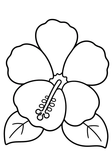 Dibujo para colorear de un hibisco abierto con pétalos grandes, pistilo largo y hojas