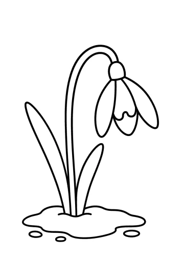 Dessin d’un perce-neige avec une fleur tombante, une tige courbée et deux longues feuilles.