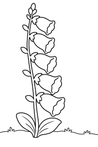 Digitale con fiori a campana disegno da colorare PDF gratis