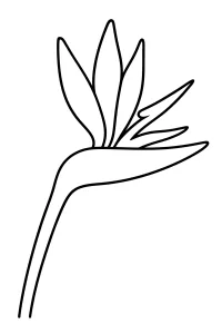 Bird of paradise flower coloring page coloring page free PDF