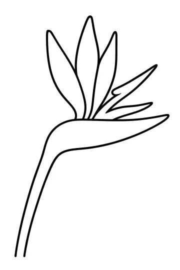 Disegno da colorare di un fiore di strelitzia con petali appuntiti e lungo stelo