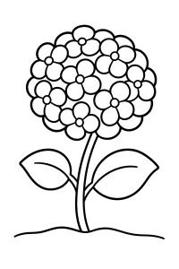 Hortensie mit Blüten und Blättern malvorlage kostenlos PDF