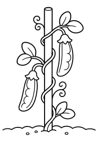 Klettererbse mit Hülsen zum Ausmalen malvorlage kostenlos PDF