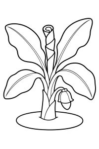Bananenpflanze mit Blüte malvorlage kostenlos PDF