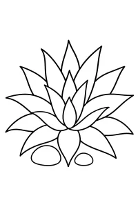 Agave a stella disegno da colorare PDF gratis