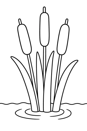 Coloriage de massettes aux longues feuilles qui poussent dans l'eau d'un étang