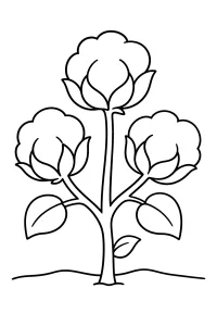 Baumwollpflanze zum Ausmalen malvorlage kostenlos PDF