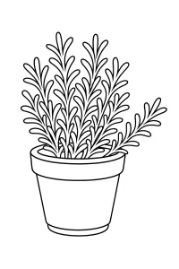 Alecrim em vaso para colorir desenho para colorir PDF grátis