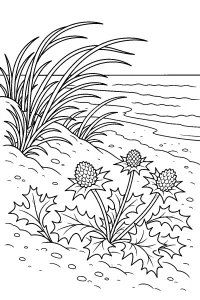 Dünenpflanzen mit stacheligen Blüten