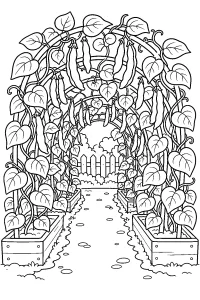 Bohnentunnel im Garten
