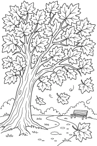 Acero d'autunno nel parco disegno da colorare PDF gratis
