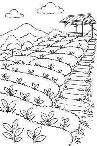 Plantación de té en la colina dibujo para colorear PDF gratis