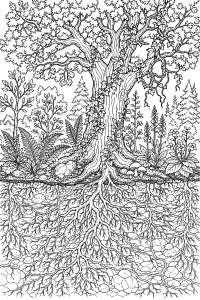 Grande quercia con radici nella foresta disegno da colorare PDF gratis