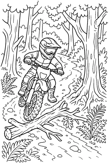 Motociclista con casco su una moto da fuoristrada in un sentiero nel bosco con alberi, felci e un tronco caduto.