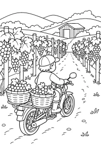 Motor in de wijngaard met manden druiven kleurplaat gratis PDF