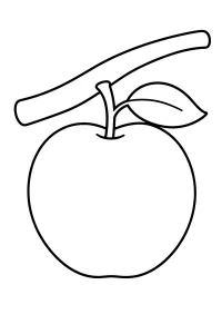 Apfel mit Blatt und Ast malvorlage kostenlos PDF
