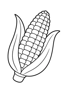 Épi de maïs ouvert à colorier dessin à colorier PDF gratuit