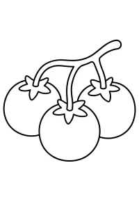 Drei Tomaten an der Ranke zum Ausmalen malvorlage kostenlos PDF