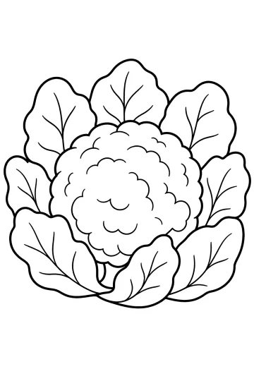 Disegno da colorare di un cavolfiore rotondo circondato da grandi foglie