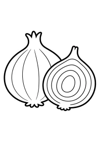 Cipolla intera e cipolla tagliata da colorare disegno da colorare PDF gratis