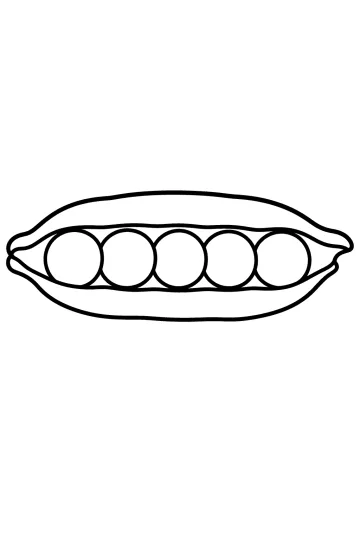 Disegno di un baccello aperto con cinque piselli rotondi allineati