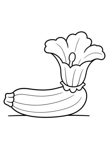 Coloriage d'une courgette horizontale avec une grande fleur sur le dessus