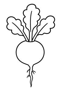 Ravanello rotondo con foglie disegno da colorare PDF gratis
