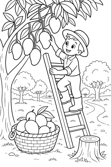 Bambino su una scala di legno raccoglie mango da un albero vicino a una cesta piena di frutti.