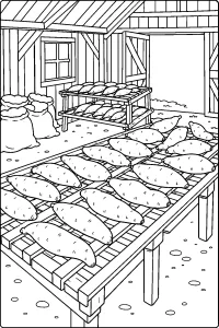 Batatas-doces em grades no celeiro desenho para colorir PDF grátis